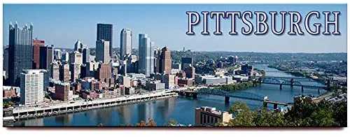Pittsburgh panoramic fridge magnet Pennsylvania travel souvenir