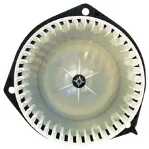 TYC 700110 Buick/Pontiac Replacement Blower Assembly