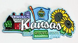 Kansas State Elements Fridge Collectible Souvenir Magnet