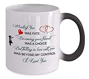 Color Changeing Mugs - Meeting You Was Fate - Coupled Mug, Soul Mate Coffee Mug