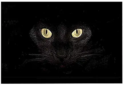 ChezMax Non-Slip Doormat Coral Fleece Indoor Outdoor Kitchen Floor Rug Front Door Mat Funny Flannel Carpet Black Cat 23.62" X 15.74"