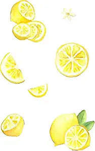 MAGNET Lotsa Lemons Magnetic Car Sticker Decal Refrigerator Metal Magnet Vinyl 5"