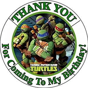12 NINJA TURTLE TMNT - Birthday Party Favor Stickers/Labels for Gift, Goody Treat Bag (2.5 inches circle stickers, bags not included)