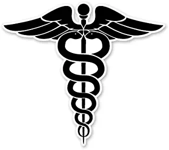 AK Wall Art Medical Symbol EMS Snakes Vinyl Sticker - Car Phone Helmet - Select Size