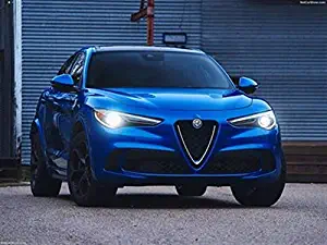 Alfa Romeo Stelvio Quadrifoglio [US] 2018 Poster 18" X 24" - Alfa Romeo Stelvio Quadrifoglio [US] 2018 Print