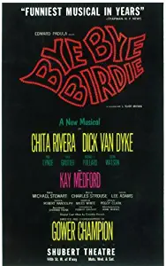 Bye Bye Birdie Poster (Broadway) (11 x 17 Inches - 28cm x 44cm) (1960) Style A -(Dick Van Dyke)(Chita Rivera)(Dick Gautier)(Susan Watson)(Paul Lynde and Charles Nelson Reilly)