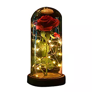 sexyrobot Beauty and The Beast Rose, Enchanted Red Silk Flower with LED Glass Dome for Valentine's Day Mother's Day Christmas Anniversary Birthday Thanksgiving Decoration (1Pcs)