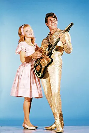 Bye Bye Birdie 24X36 Poster Jesse Pearson Ann-Margret