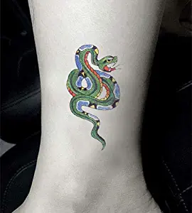 SanerLian Set of 5 Waterproof Temporary Fake Tattoo Stickers Green Snake School Cartoon